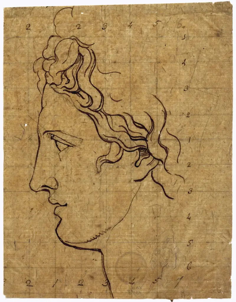 Head of the Apollo Belvedere, seen in profile av David Humbert de Superville