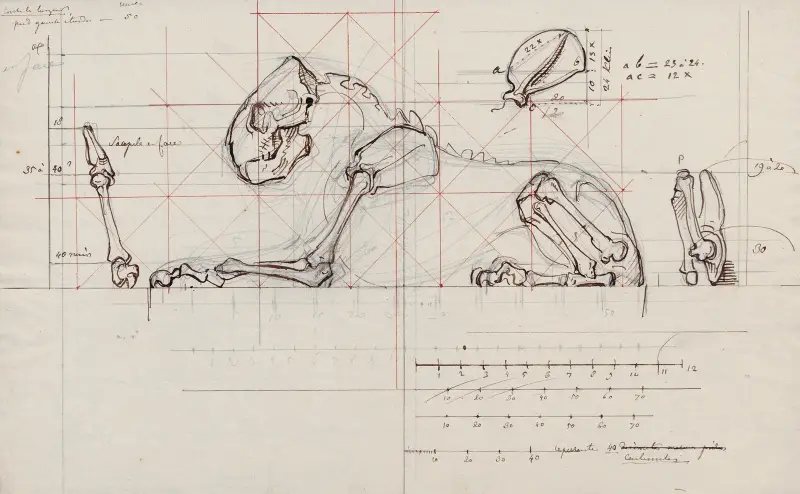 Le Géant de la Côte’ represented as a skeleton av David Humbert de Superville