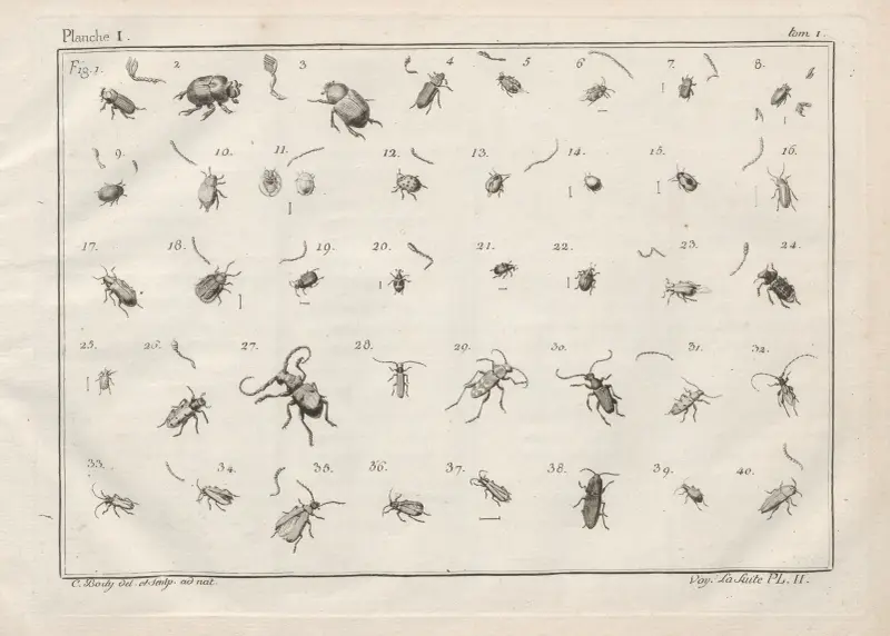 Nomenclator iconum entomologiæ Linneanæ Pl.02 av Charles-Joseph Traviès de Villers