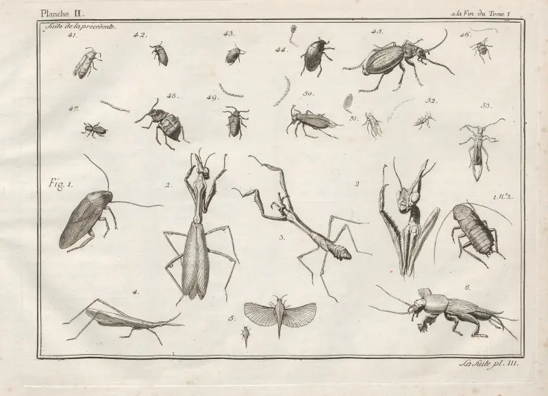 Nomenclator iconum entomologiæ Linneanæ Pl.03 av Charles-Joseph Traviès de Villers