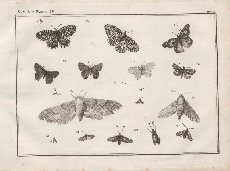 Nomenclator iconum entomologiæ Linneanæ Pl.06 av Charles-Joseph Traviès de Villers