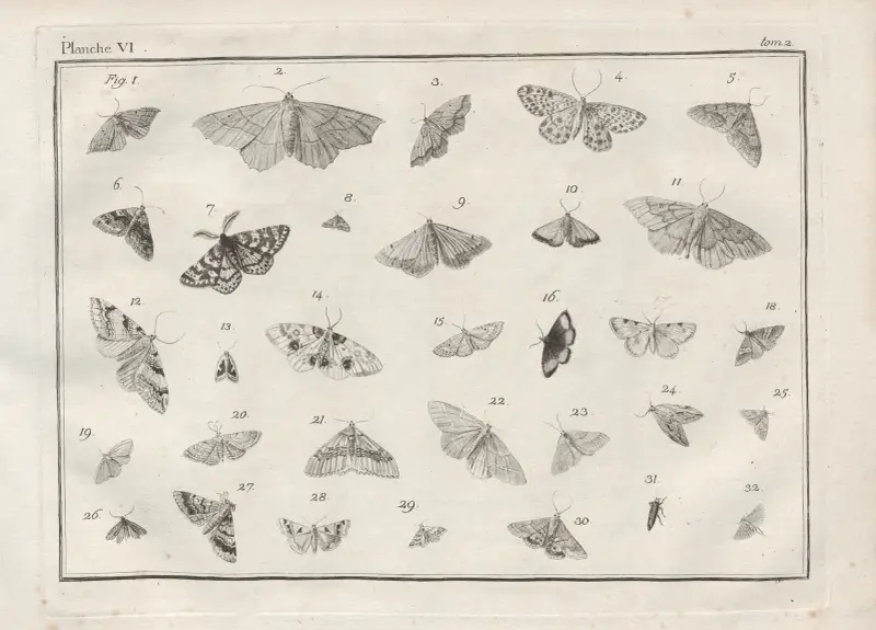 Nomenclator iconum entomologiæ Linneanæ Pl.08 av Charles-Joseph Traviès de Villers