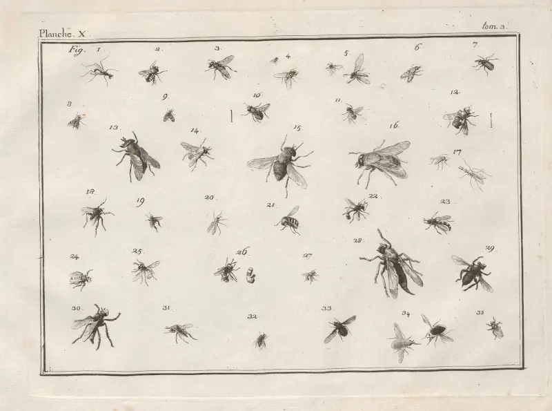 Nomenclator iconum entomologiæ Linneanæ Pl.12 av Charles-Joseph Traviès de Villers
