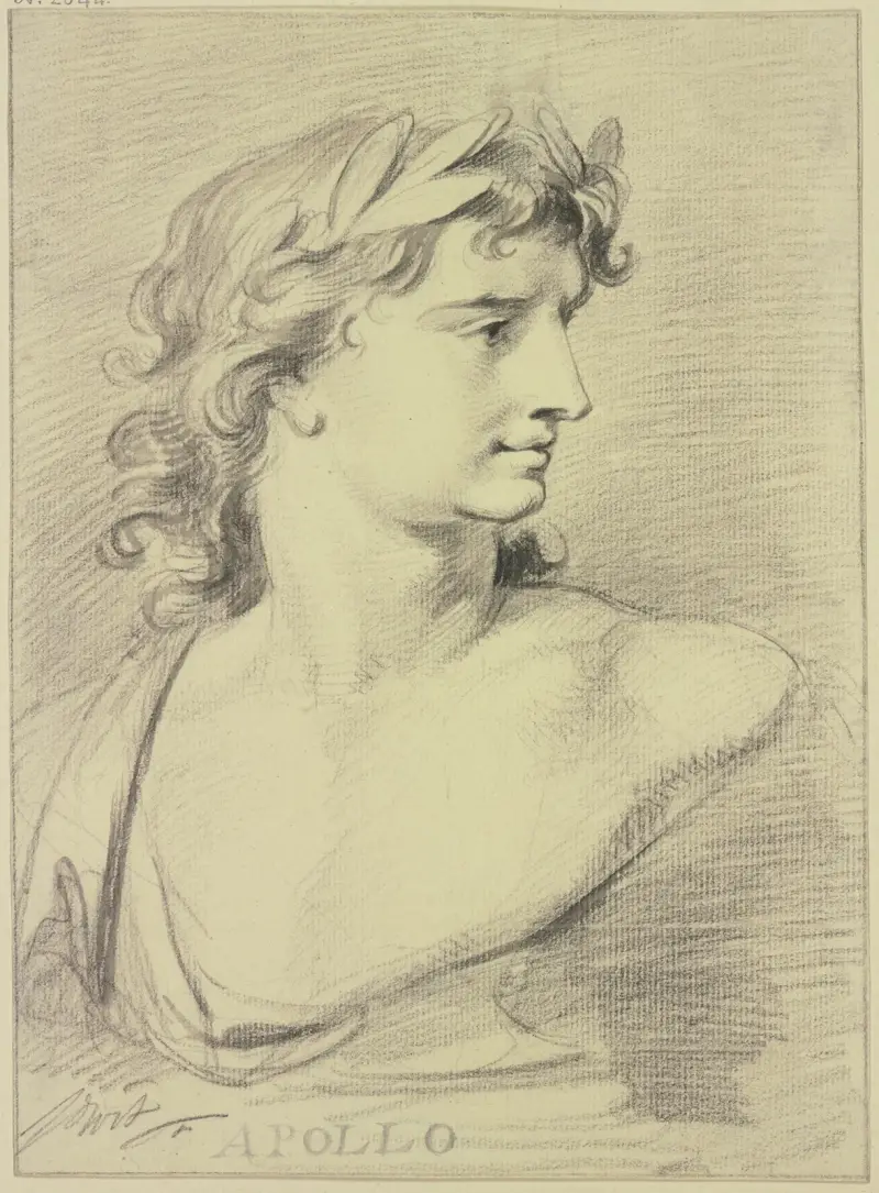 Apollónova busta, Jacob de Wit