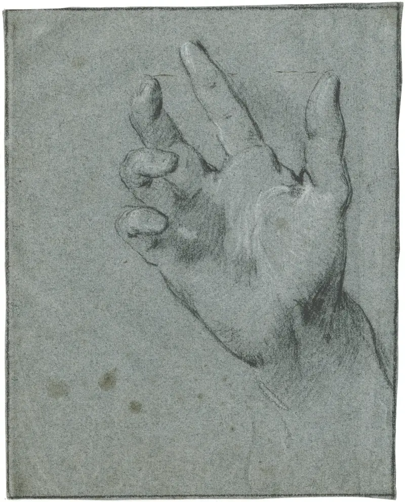 Studie av en hand av Jacob de Wit