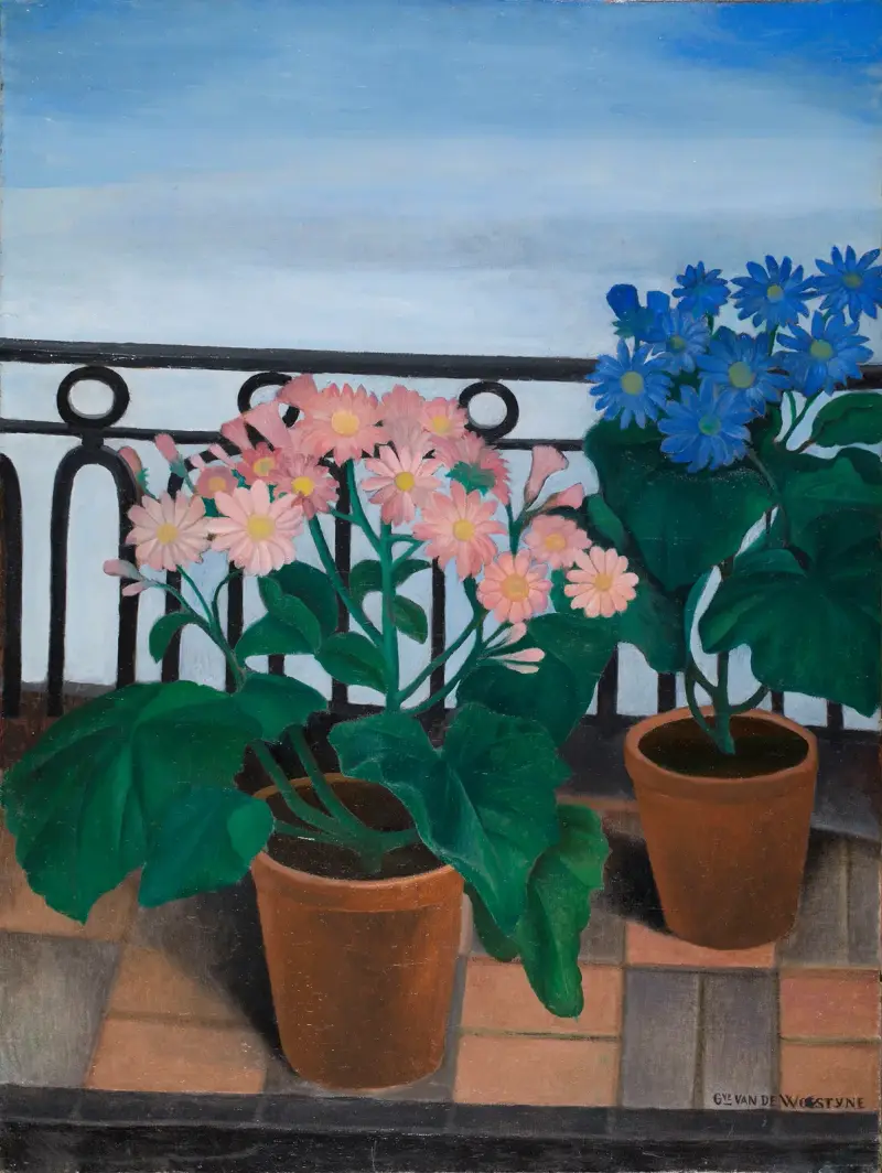Balkong med blommor (Cinerarior) av Gustave Van de Woestijne