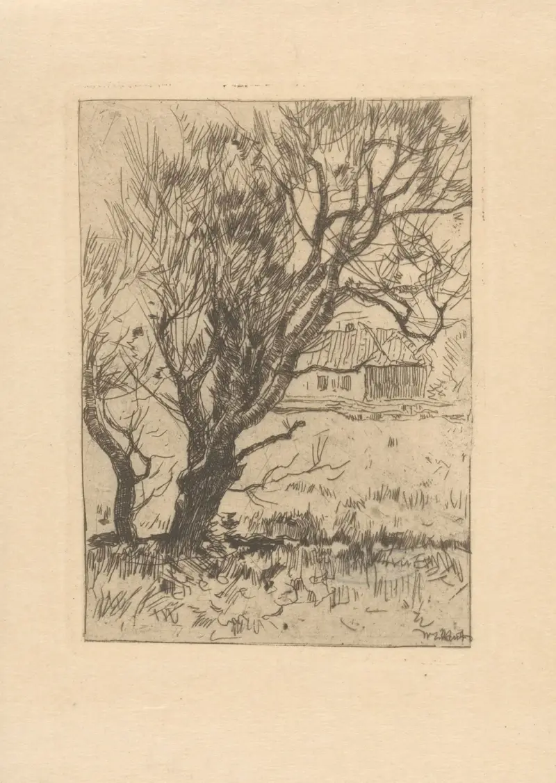 Boomstudie av Willem de Zwart
