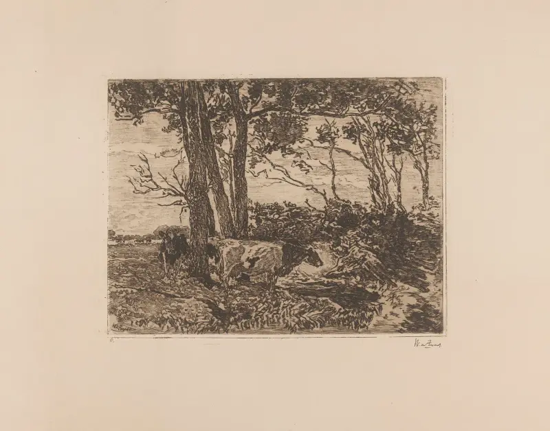 Koeien onder bomen av Willem de Zwart