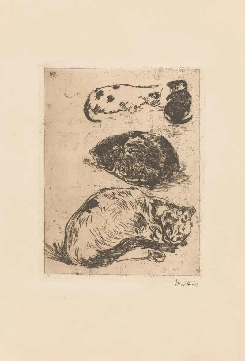 Studie kočky, Willem de Zwart