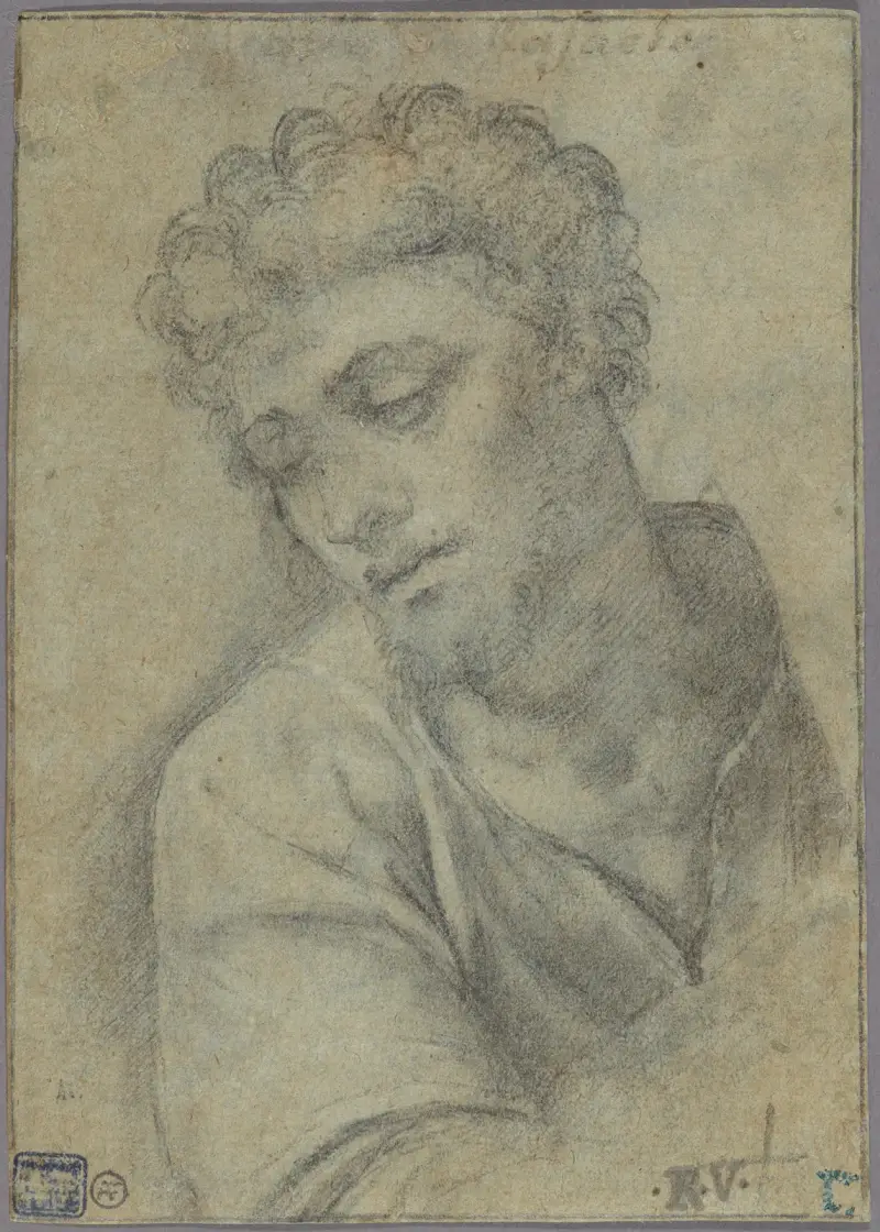 Study for the Figure of Christ Carrying the Cross av Sebastiano del Piombo