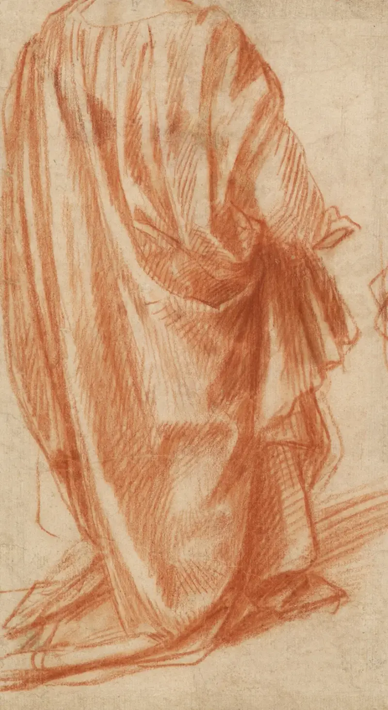 Gewandstudie von Andrea del Sarto