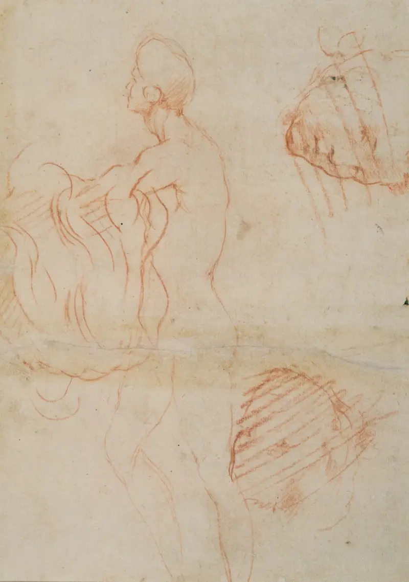 Figurenstudie und Gesicht von Andrea del Sarto