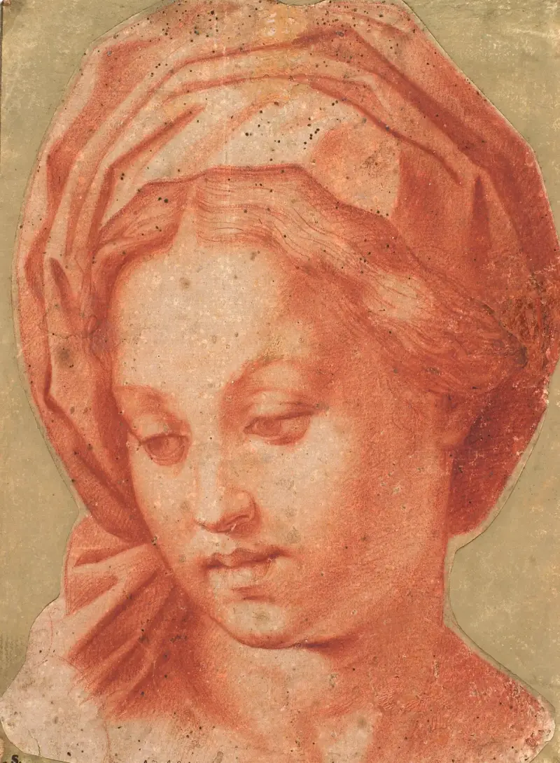 Madonna Borghese von Andrea del Sarto