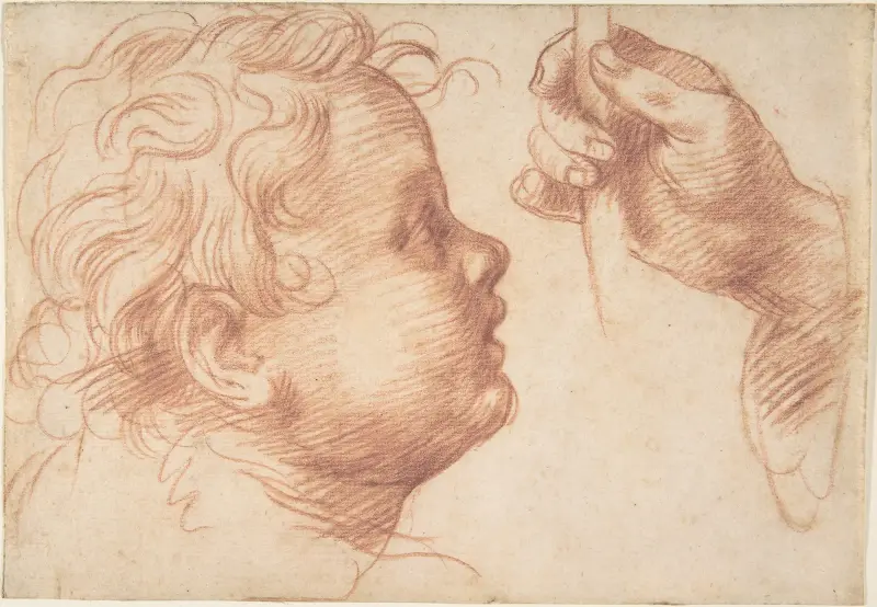 Studies of a Head and a Hand av Andrea del Sarto