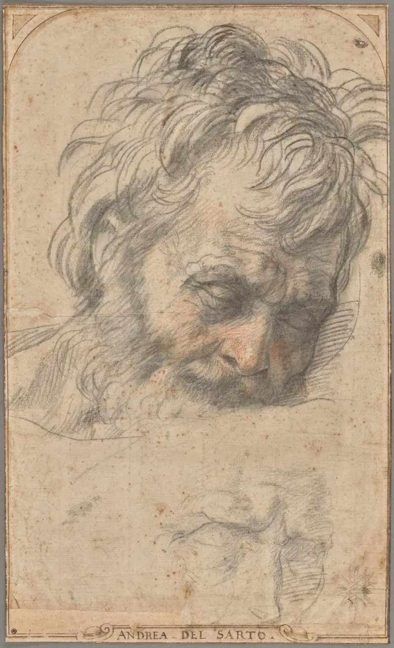 Study for the Head of Saint Joseph av Andrea del Sarto