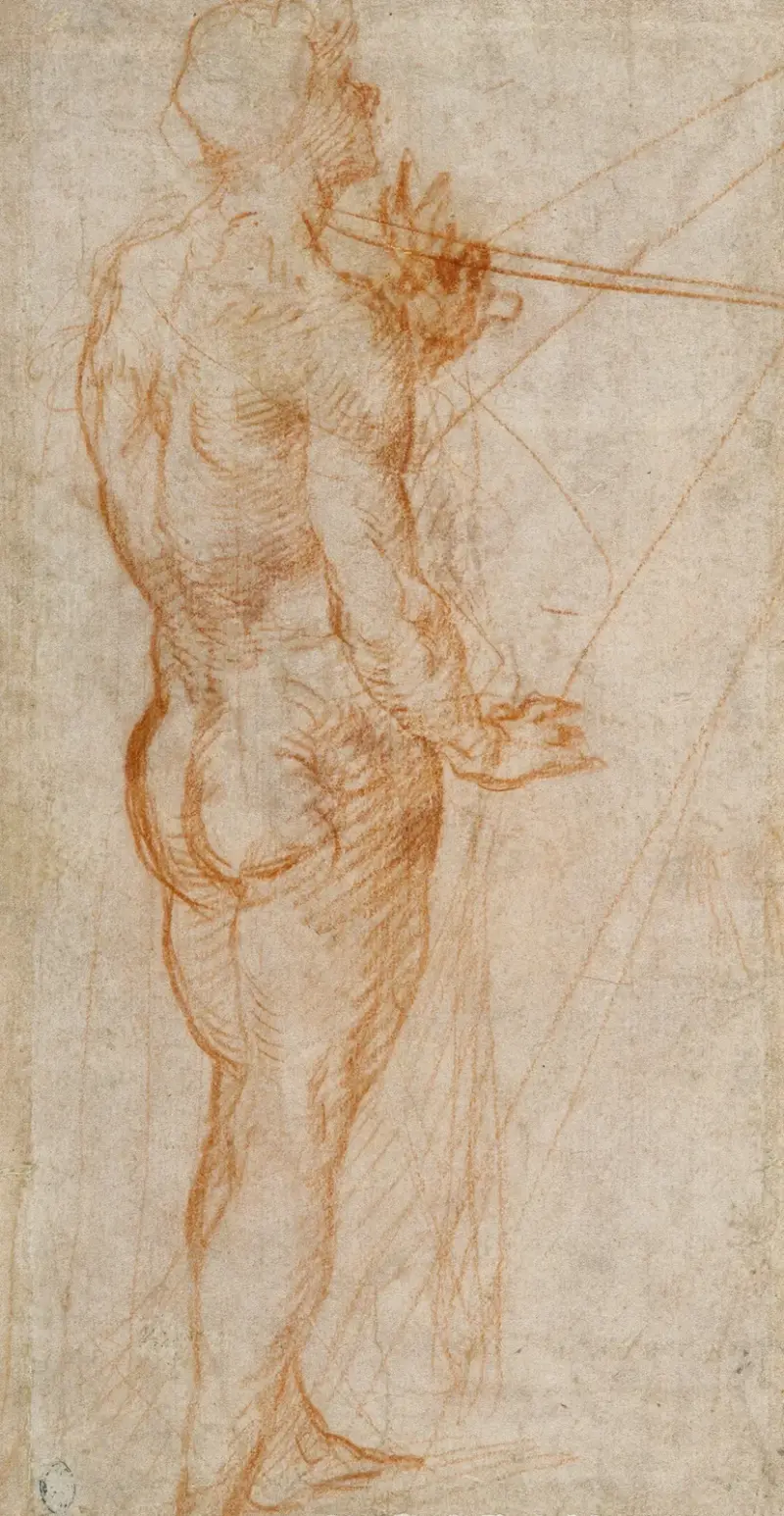 Study of a Nude Man av Andrea del Sarto