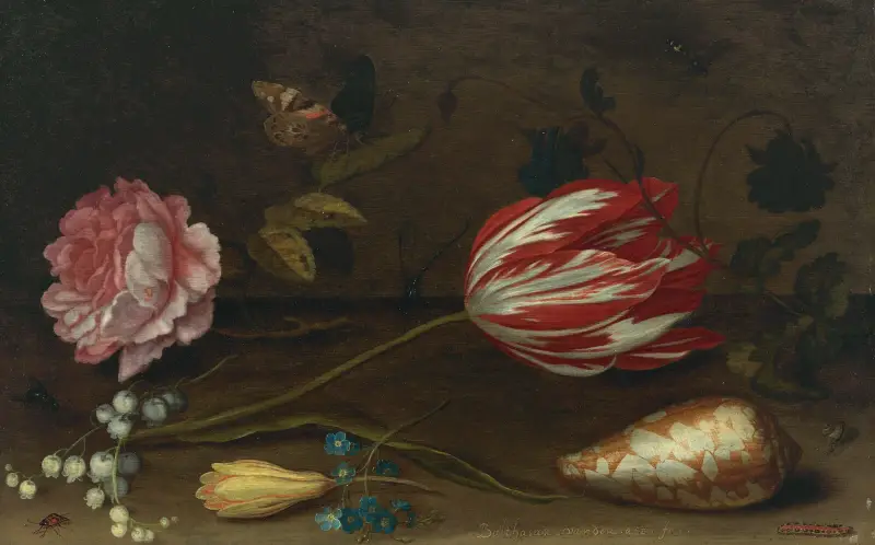 A rose, a tulip, insects, and a shell on a ledge av Balthasar van der Ast