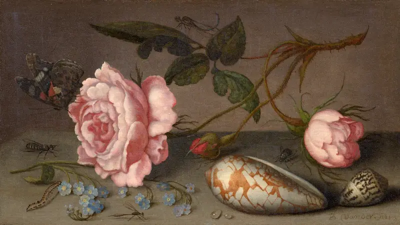 Roses, coquillages et insectes sur une table av Balthasar van der Ast