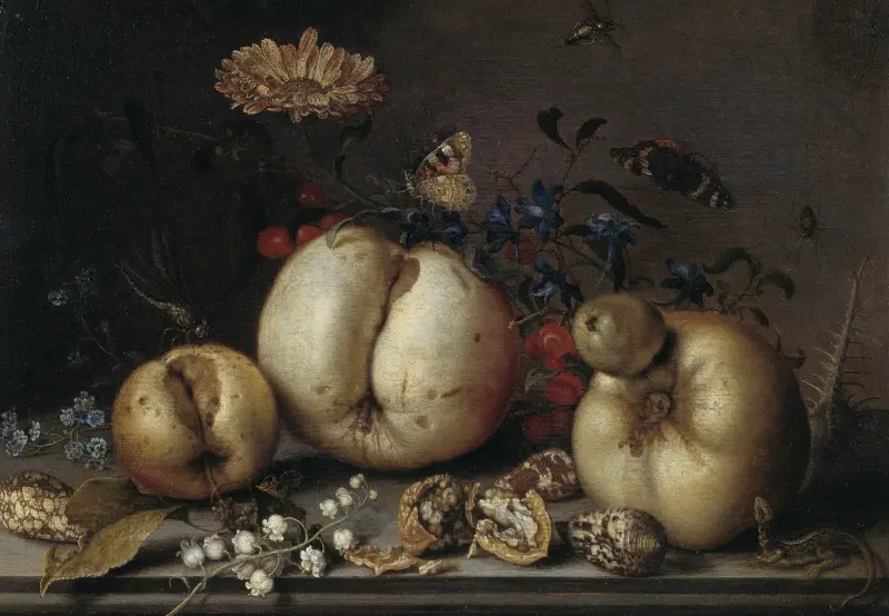 Stillleben mit Früchten und Muscheln von Balthasar van der Ast