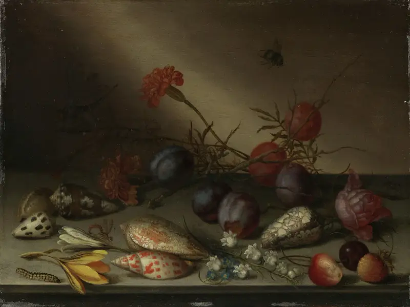 Still Life with Shells, Fruit, and Flowers av Balthasar van der Ast