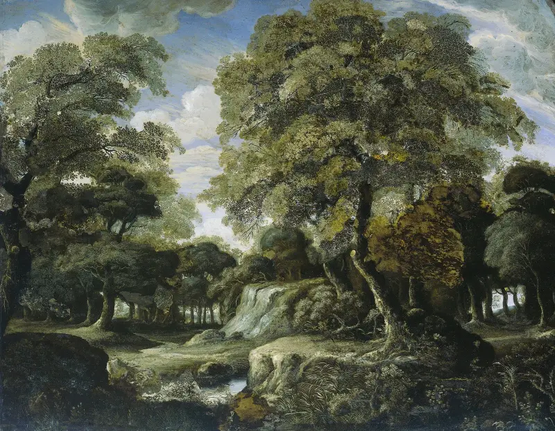 Pohled do lesa, Jan van der Heyden