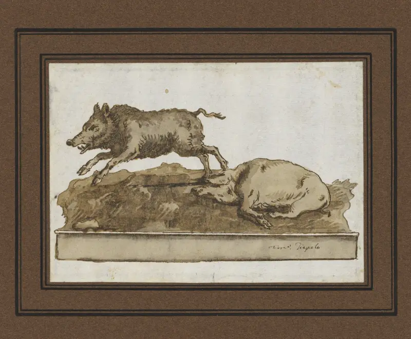 Ett vildsvin, galopperande åt vänster, och en sovande sugga (på basen) av Giovanni Domenico Tiepolo