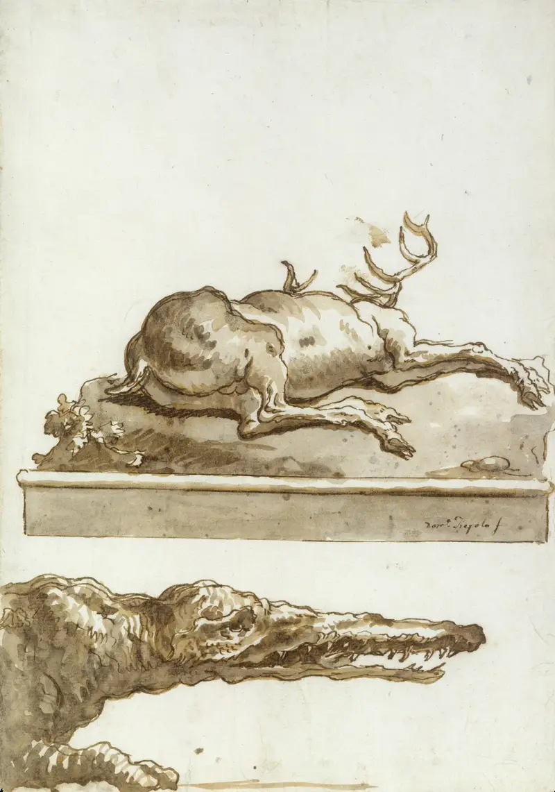 Ett krokodilhuvud av Giovanni Domenico Tiepolo