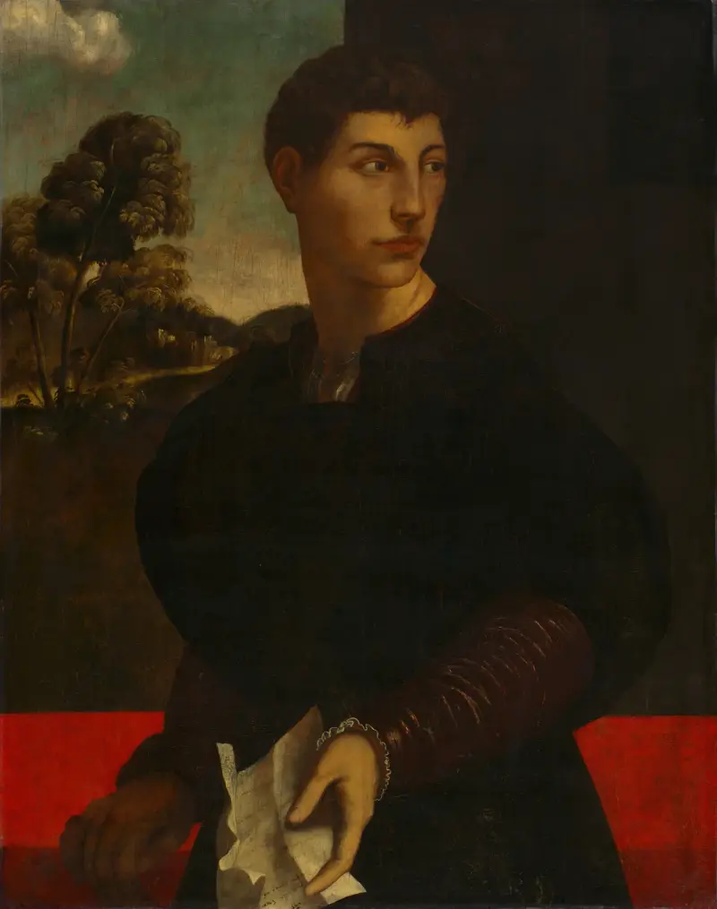 Portrait of a Young Man av Dosso Dossi