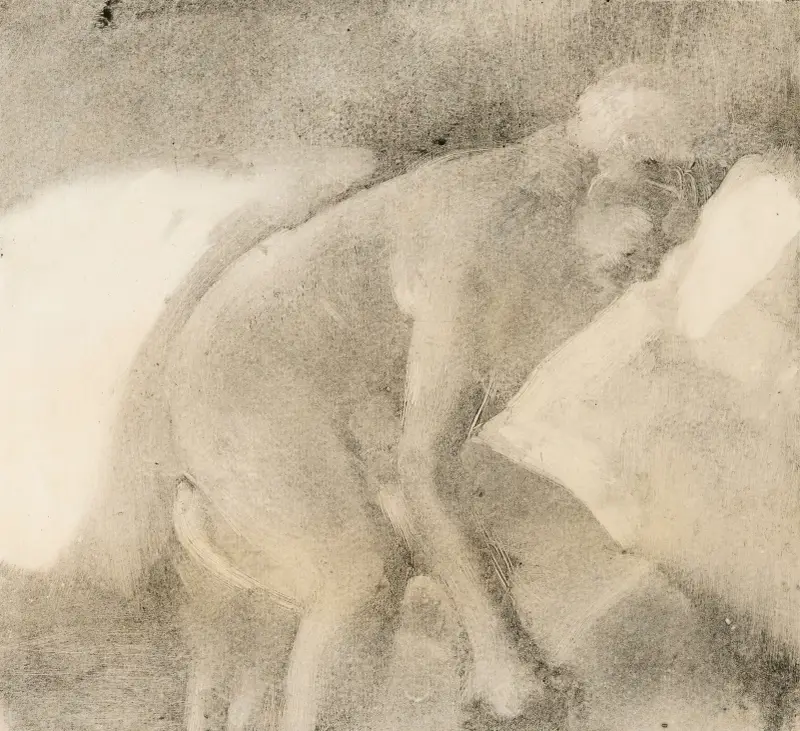 Die Toilette (Das Bidet) von Edgar Degas