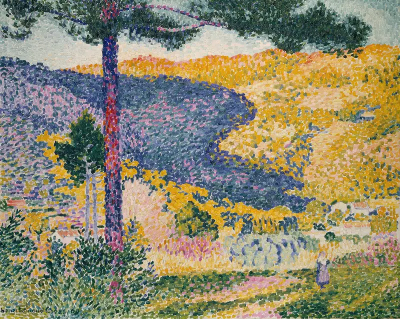 Tal mit Silbertanne (Schatten am Berg) von Henri-Edmond Cross