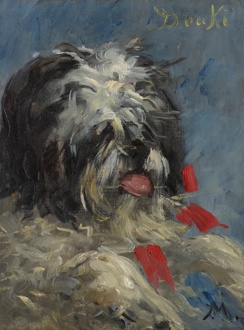 Der Hund 'Donki' von Édouard Manet