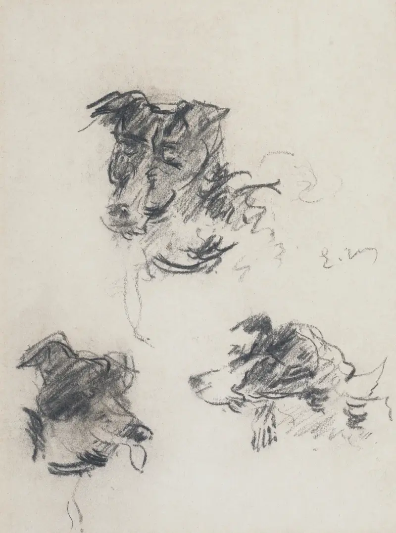 Hundeköpfe von Édouard Manet