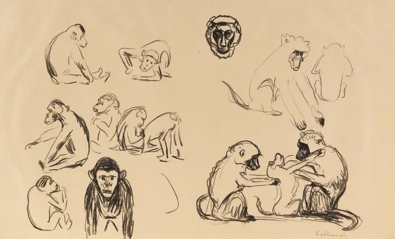 Affen I und II von Edvard Munch