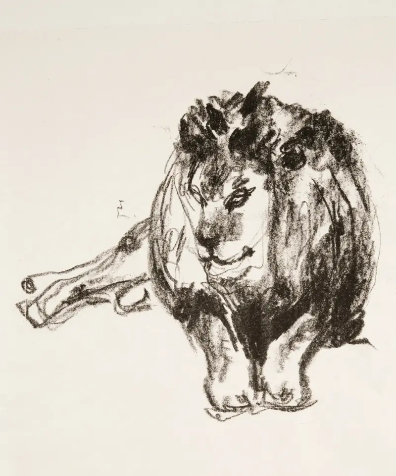 Liegender Löwe von Edvard Munch