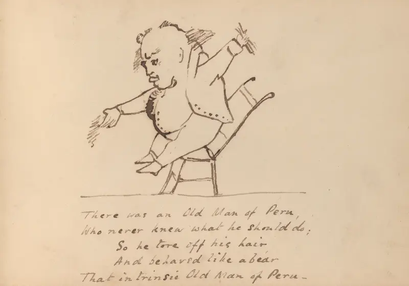 Book of nonsense Pl.28 av Edward Lear
