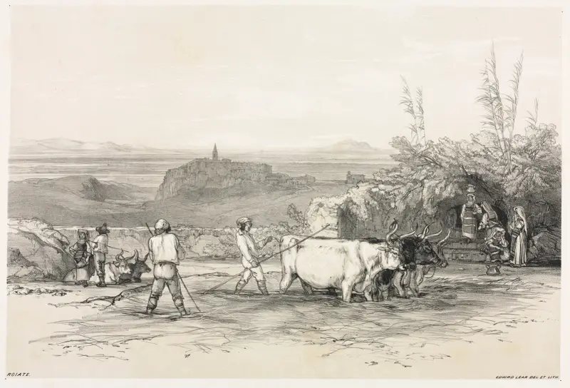Roiate, Edward Lear