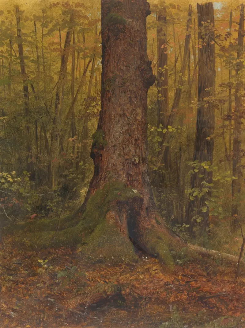 In the Woods, probably Maine av Frederic Edwin Church