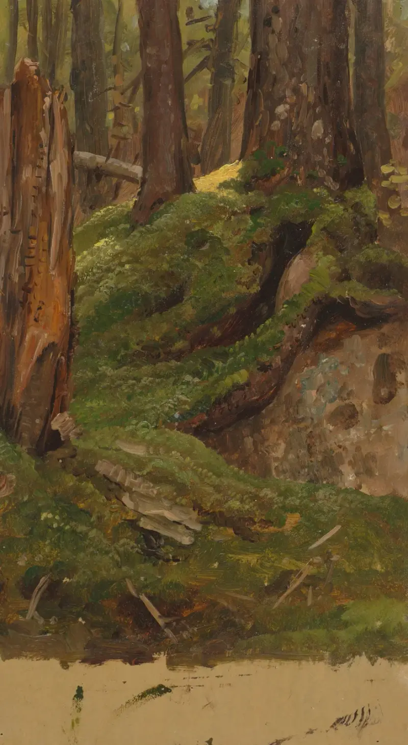 Maine woods av Frederic Edwin Church