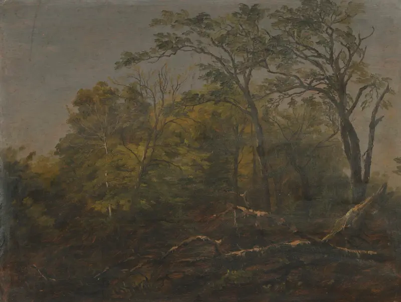 Maine Woods von Frederic Edwin Church