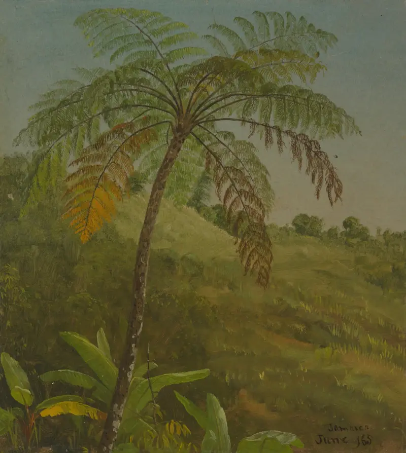 Palmträd, Jamaica av Frederic Edwin Church