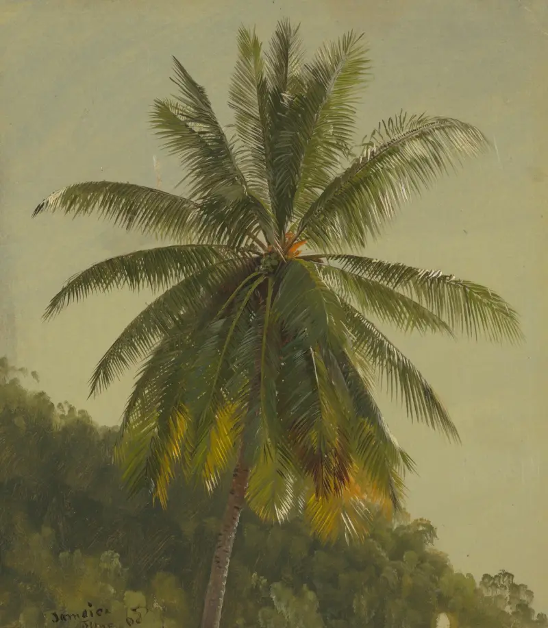 Palmträd, Västindien av Frederic Edwin Church