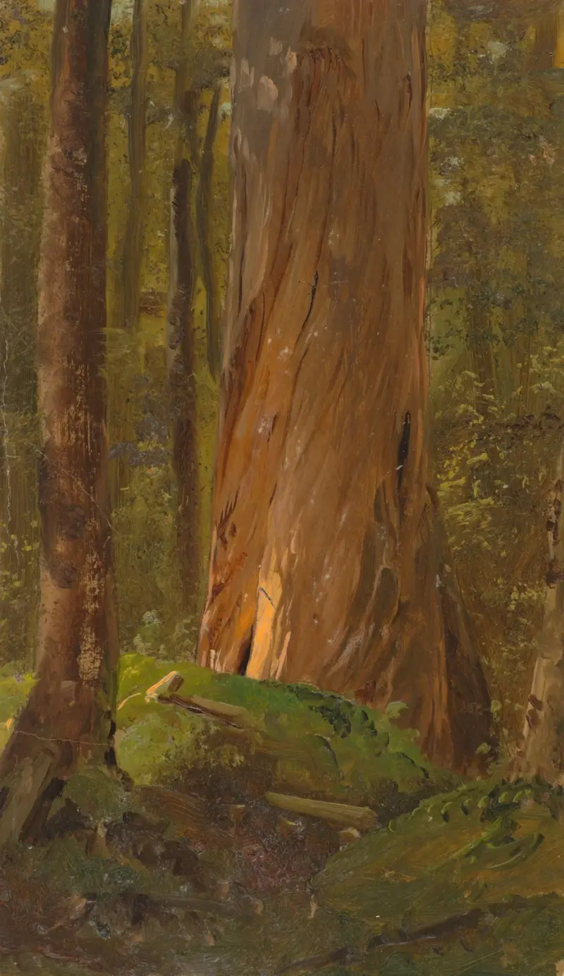 Studie i Maines skogar av Frederic Edwin Church