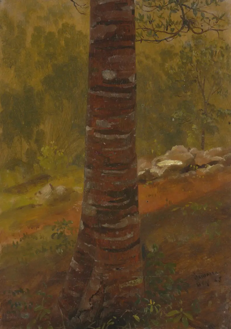 Tree trunk av Frederic Edwin Church