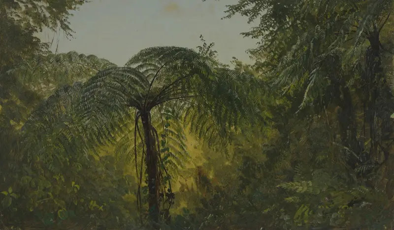 Tropical Landscape (June or July 1865) av Frederic Edwin Church