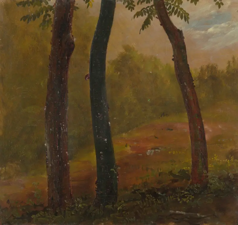 Skogslandskap, Jamaica av Frederic Edwin Church