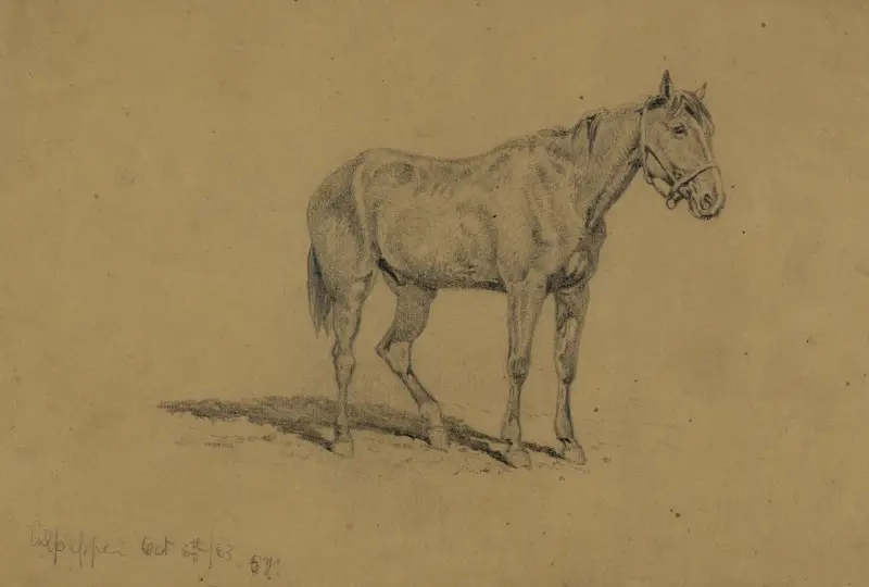 En kavallerihäst av Edwin Forbes