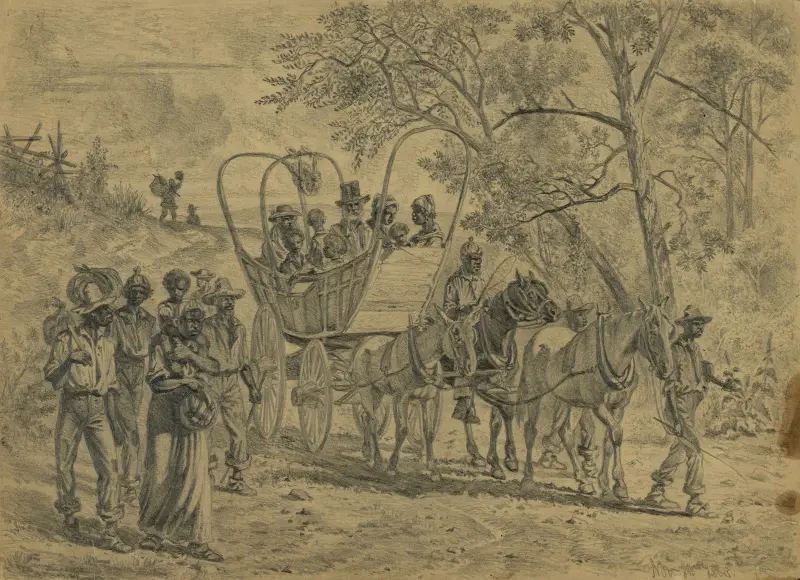 African American refugees coming into the Union lines near Culpeper Court House, Va. av Edwin Forbes