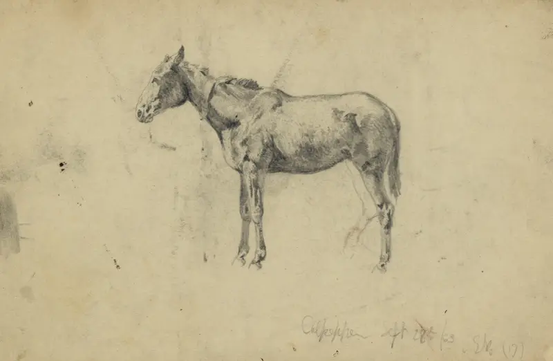 En armémula. 28 september 1863 av Edwin Forbes