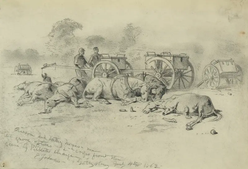 Caisson and battery horses – near the grove of trees av Edwin Forbes
