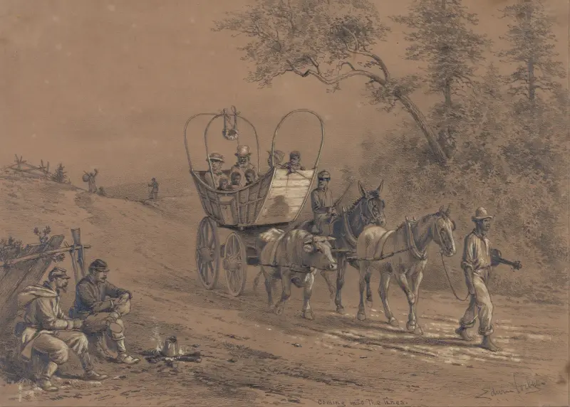 Coming into the lines. A party of slaves…have started for the Union lines av Edwin Forbes